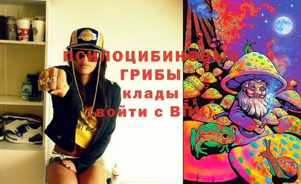 гидра Белокуриха