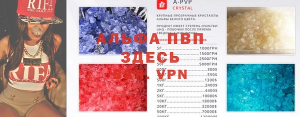 гидра Белокуриха