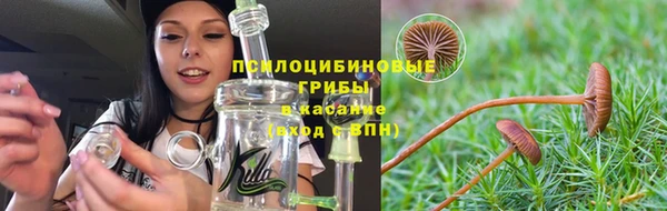 спиды Беломорск