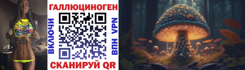 Псилоцибиновые грибы Cubensis Купить закладки Зеленокумск